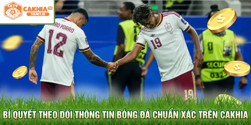 Bảng Xếp Hạng World Cup - Cập Nhật Mới Nhất Tại Cakhia 3 Bí quyết theo dõi thông tin bóng đá chuẩn xác trên Cakhia