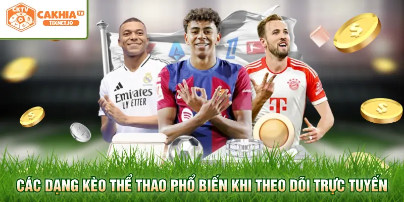 Soccer Live 2 Các dạng kèo thể thao phổ biến khi theo dõi trực tuyến