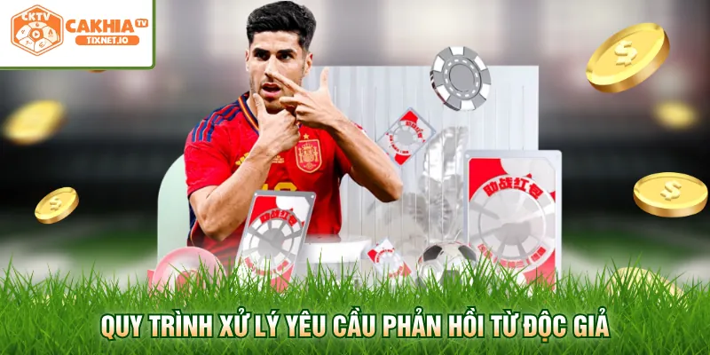 Liên Hệ Cakhia 3 Quy trình xử lý yêu cầu phản hồi từ độc giả