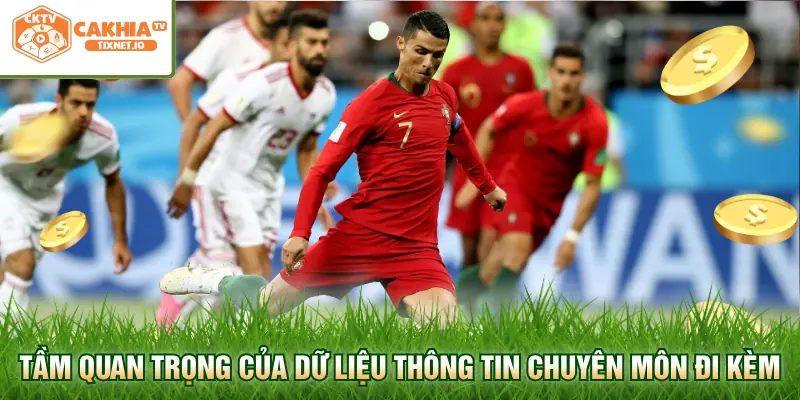 Tầm quan trọng của dữ liệu thông tin chuyên môn đi kèm