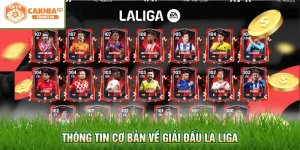 Thông tin cơ bản về giải đấu La Liga