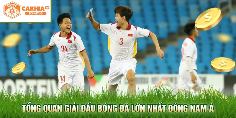 Lịch Thi Đấu AFF Cup Mới Nhất Cập Nhật Tại Cakhia 1 Tổng quan giải đấu bóng đá lớn nhất Đông Nam Á