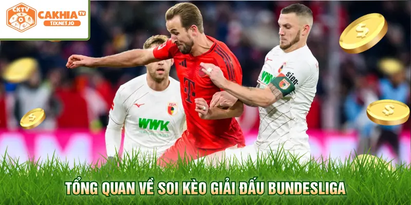 Soi Kèo Bundesliga - Cập Nhật Tỷ Lệ Bóng Đá Đức Cực Chuẩn 1 Tổng quan về soi kèo giải đấu Bundesliga